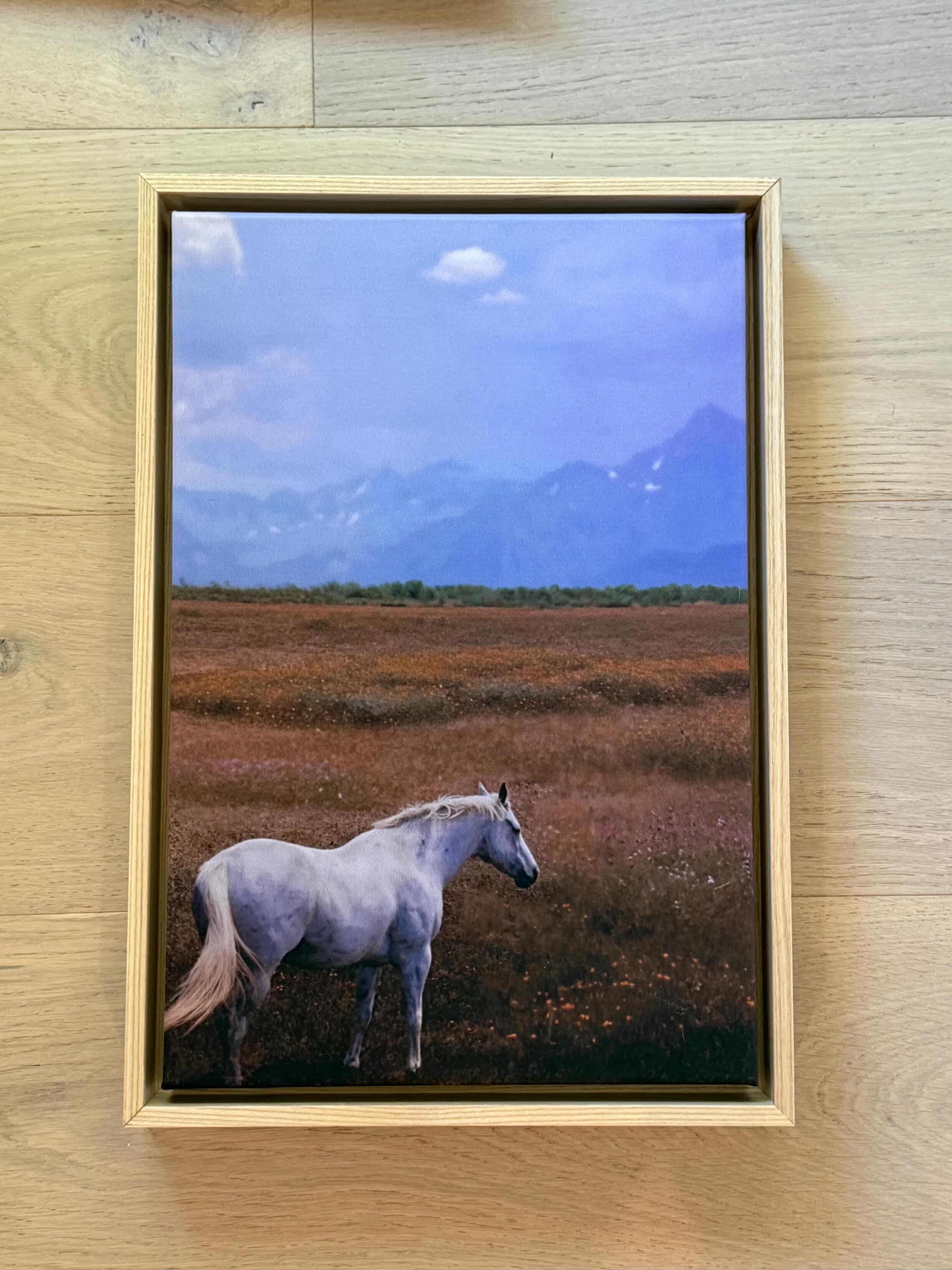 "Nostalgic Blue" by Siobhan O'Dwyer Original Work