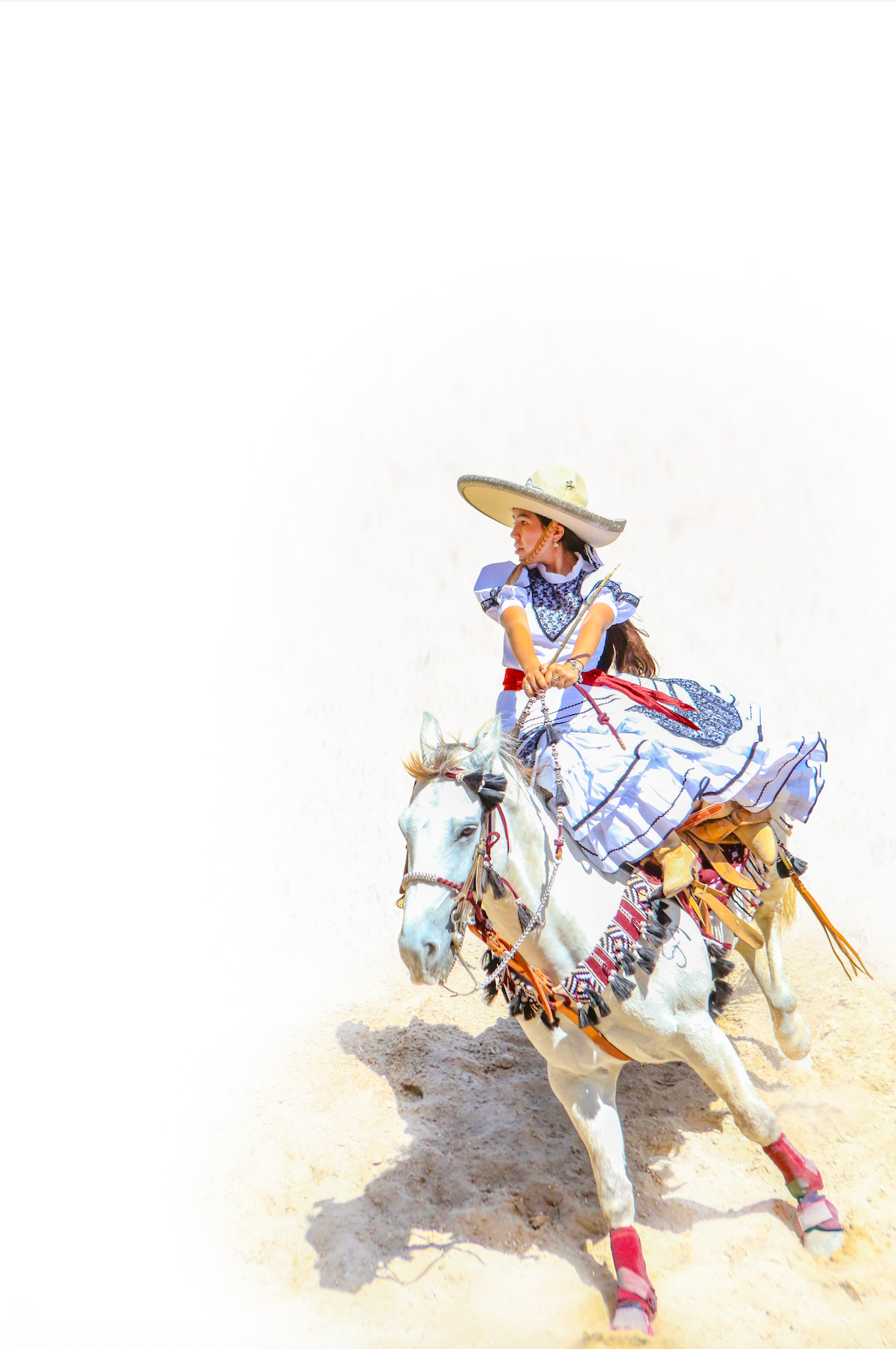 "La Adelita en Color" by Lilianna Story