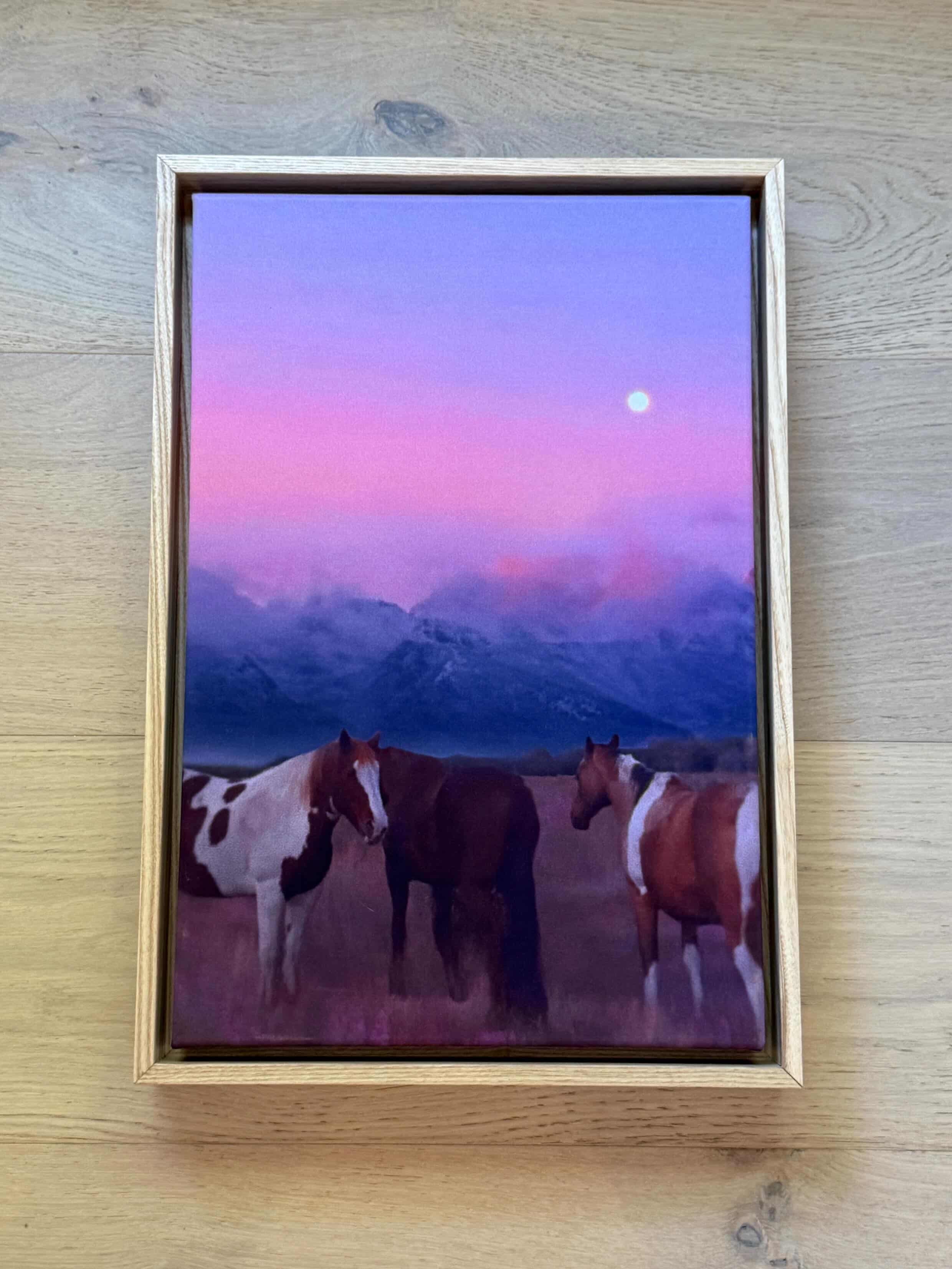 "Horse Dreaming" by Siobhan O'Dwyer Original Work