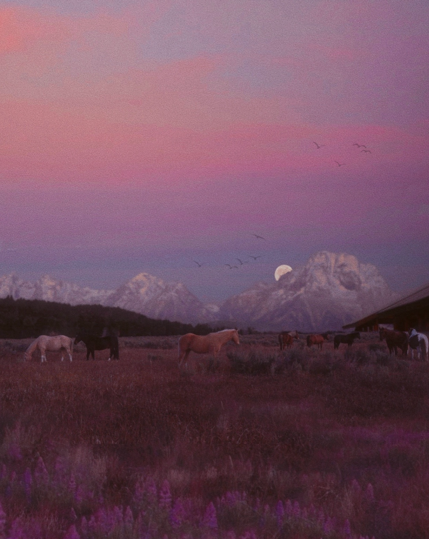 "Under the Same Moon" by Siobhan O'Dwyer Original Work