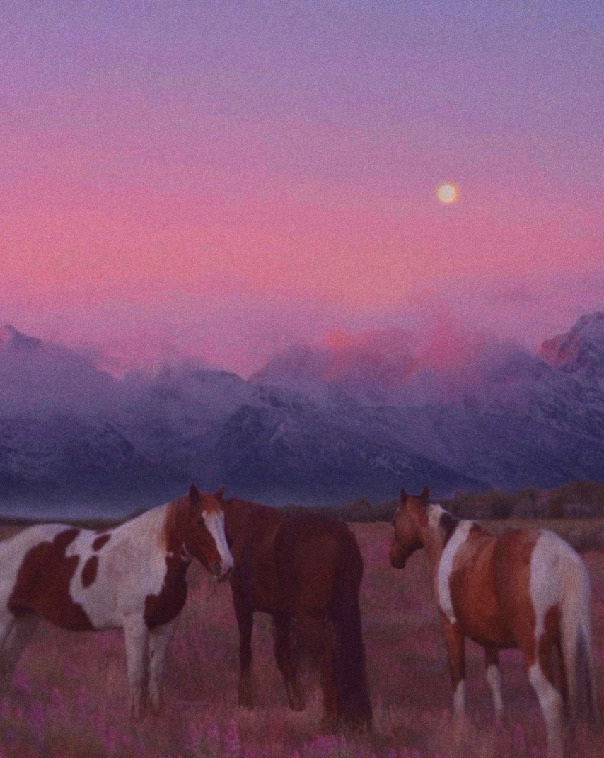 "Horse Dreaming" by Siobhan O'Dwyer Original Work