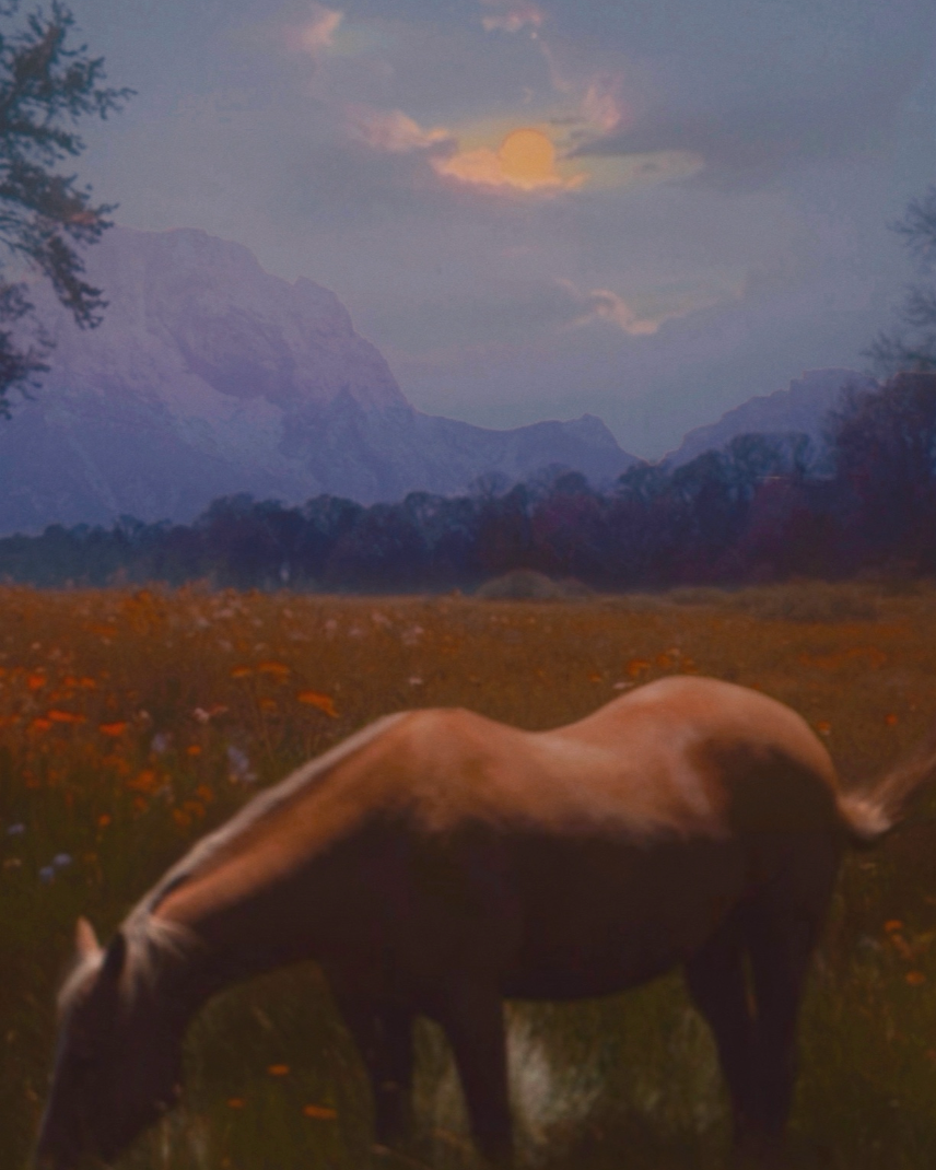 "Western Blues" by Siobhan O'Dwyer Original Work